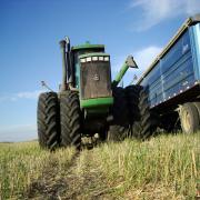 Agro-legacy-field-meal-014